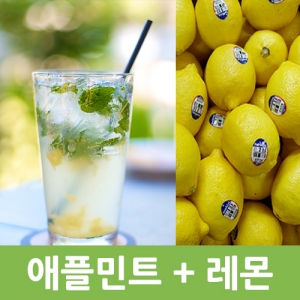 썬키스트 레몬 + 애플민트 패키지 상품/모히또/모히토